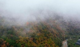 汉中留坝爆料事件最新,真相与争议交织的舆论漩涡